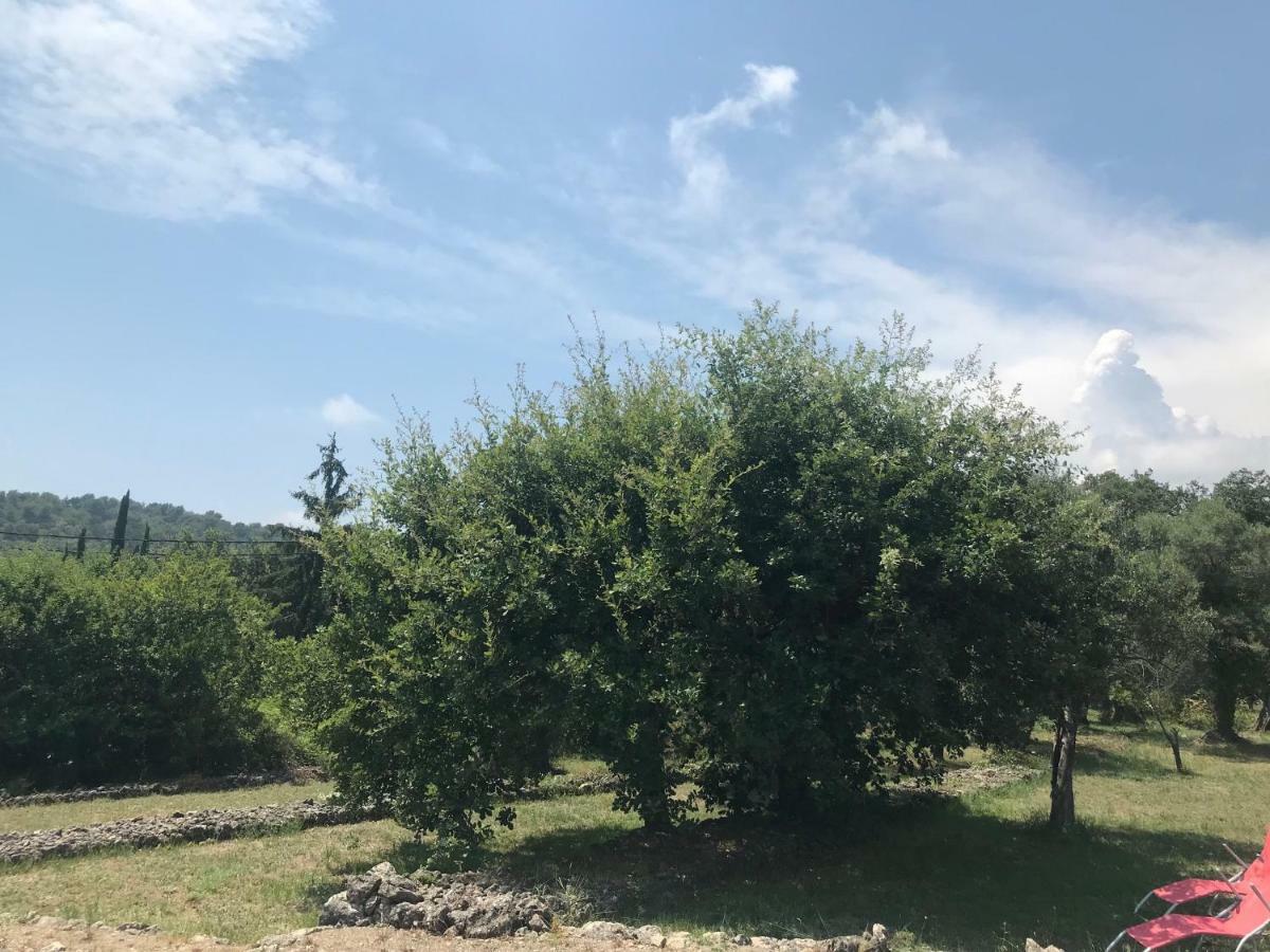 Villa Du Sud Vence Exterior foto